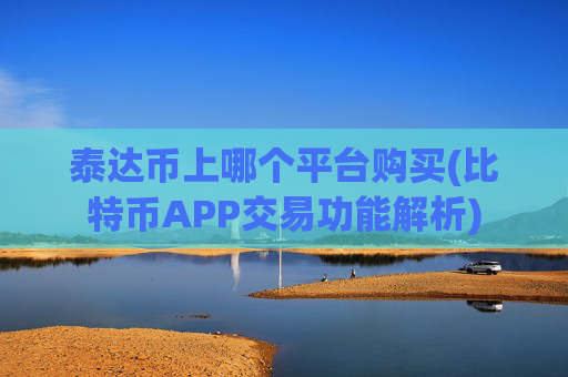 泰达币上哪个平台购买(比特币APP交易功能解析)