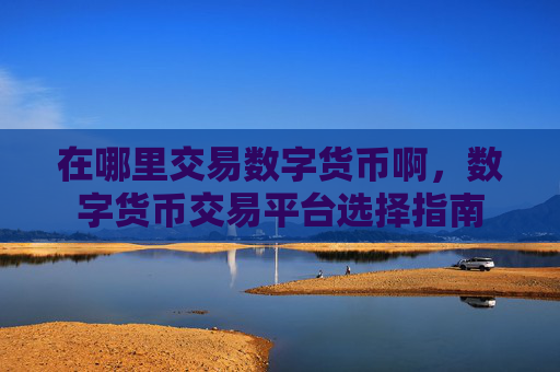 在哪里交易数字货币啊,数字货币交易平台选择指南