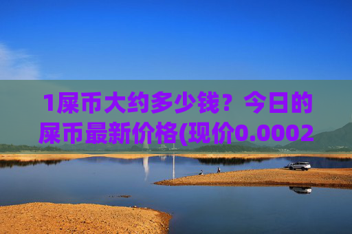 1屎币大约多少钱?今日的屎币最新价格(现价0.00021715元)