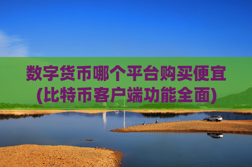 数字货币哪个平台购买便宜(比特币客户端功能全面)