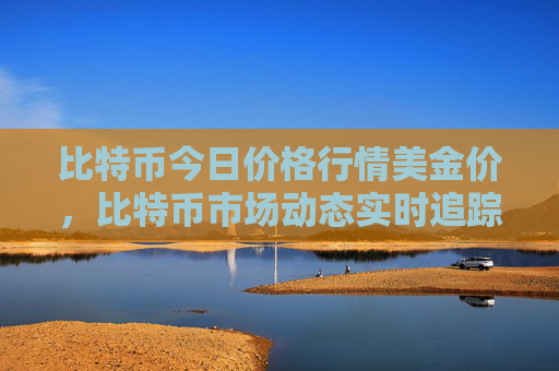 比特币今日价格行情美金价,比特币市场动态实时追踪