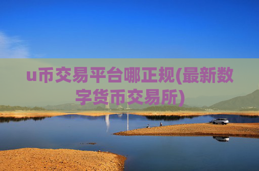 u币交易平台哪正规(最新数字货币交易所)