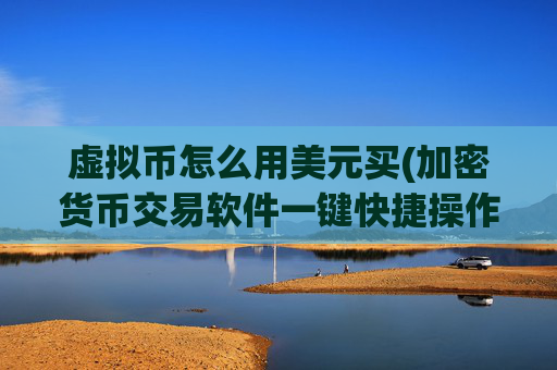 虚拟币怎么用美元买(加密货币交易软件一键快捷操作)