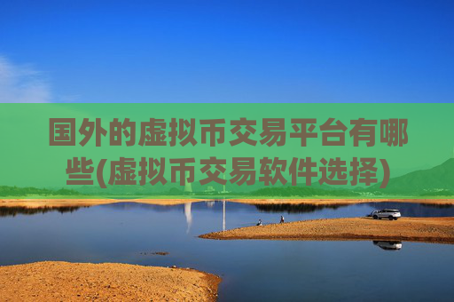 国外的虚拟币交易平台有哪些(虚拟币交易软件选择)