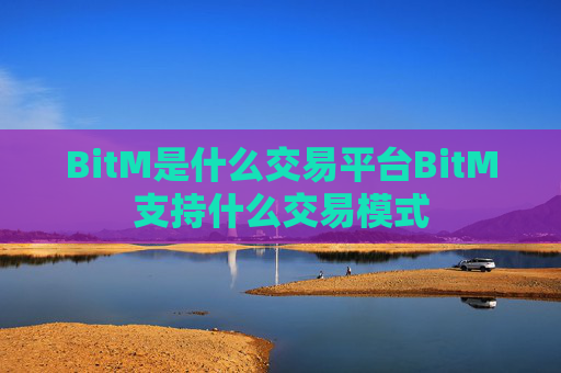 BitM是什么交易平台BitM支持什么交易模式