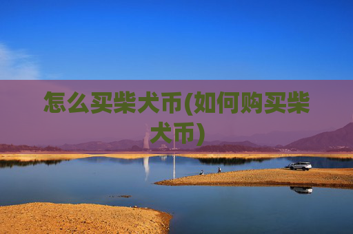 怎么买柴犬币(如何购买柴犬币)