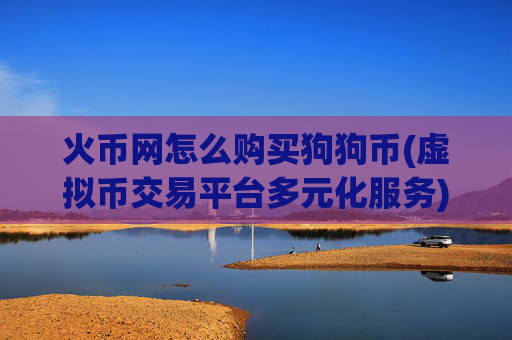 火币网怎么购买狗狗币(虚拟币交易平台多元化服务)