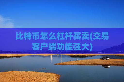 比特币怎么杠杆买卖(交易客户端功能强大)