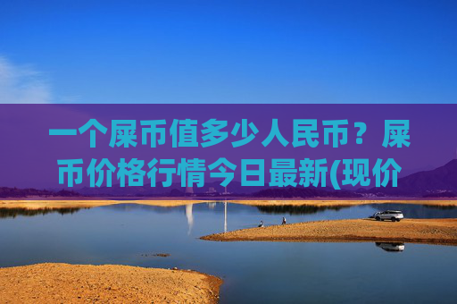 一个屎币值多少人民币?屎币价格行情今日最新(现价0.00021656元)
