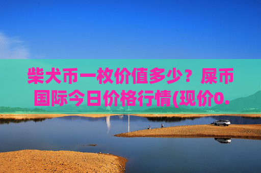 柴犬币一枚价值多少？屎币国际今日价格行情(现价0.00021964元)