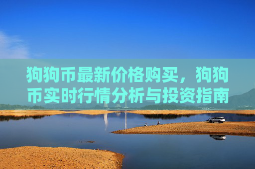 狗狗币最新价格购买,狗狗币实时行情分析与投资指南