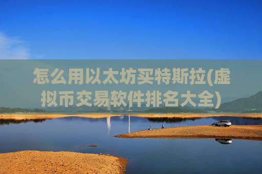 怎么用以太坊买特斯拉(虚拟币交易软件排名大全)