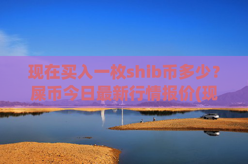 现在买入一枚shib币多少?屎币今日最新行情报价(现价0.00021676元)