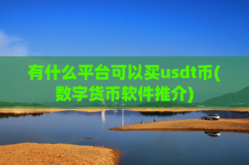 有什么平台可以买usdt币(数字货币软件推介)