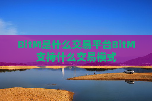 BitM是什么交易平台BitM支持什么交易模式
