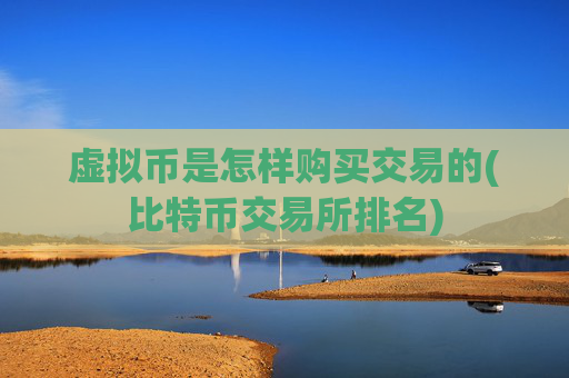 虚拟币是怎样购买交易的(比特币交易所排名)