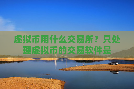 虚拟币用什么交易所?只处理虚拟币的交易软件是