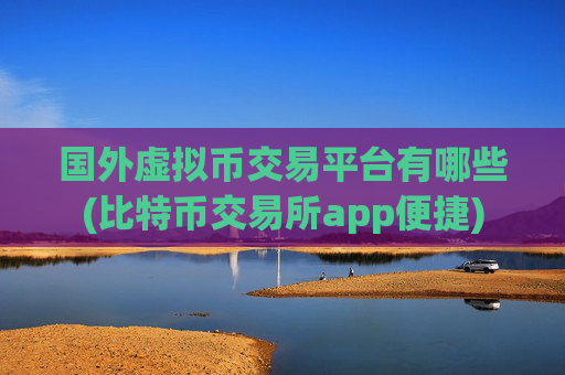 国外虚拟币交易平台有哪些(比特币交易所app便捷)