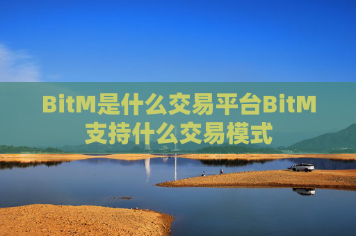 BitM是什么交易平台BitM支持什么交易模式