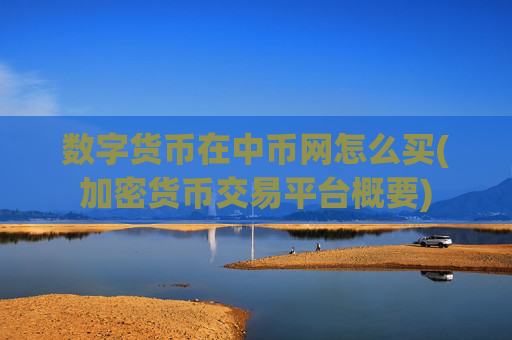 数字货币在中币网怎么买(加密货币交易平台概要)