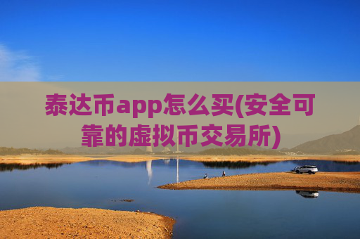 泰达币app怎么买(安全可靠的虚拟币交易所)