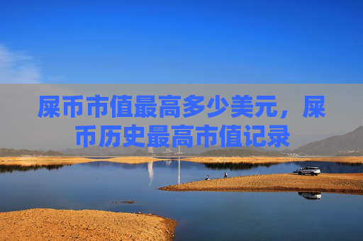 屎币市值最高多少美元,屎币历史最高市值记录