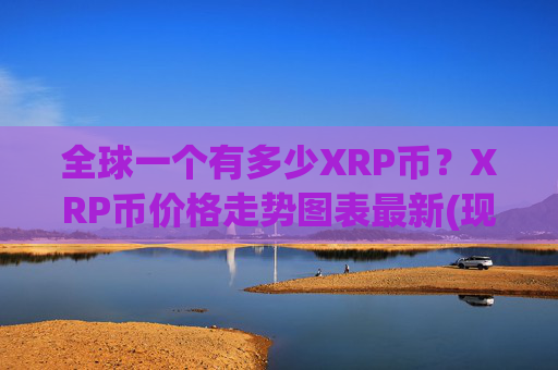全球一个有多少XRP币?XRP币价格走势图表最新(现价16.3971元)