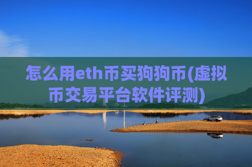 怎么用eth币买狗狗币(虚拟币交易平台软件评测)