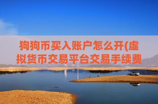 狗狗币买入账户怎么开(虚拟货币交易平台交易手续费低)