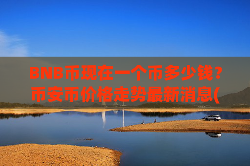 BNB币现在一个币多少钱?币安币价格走势最新消息(现价4828.46元)