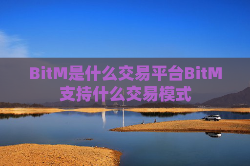 BitM是什么交易平台BitM支持什么交易模式