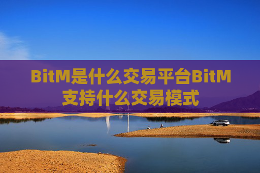 BitM是什么交易平台BitM支持什么交易模式