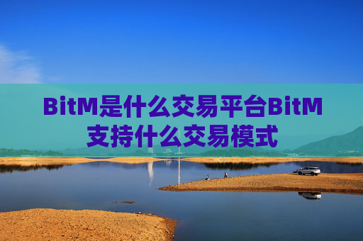 BitM是什么交易平台BitM支持什么交易模式