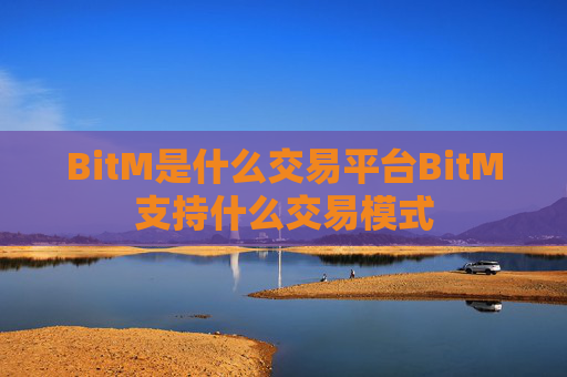 BitM是什么交易平台BitM支持什么交易模式