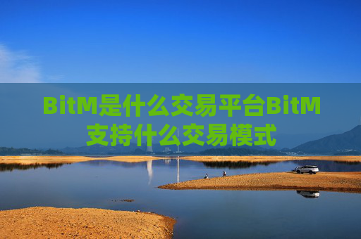 BitM是什么交易平台BitM支持什么交易模式