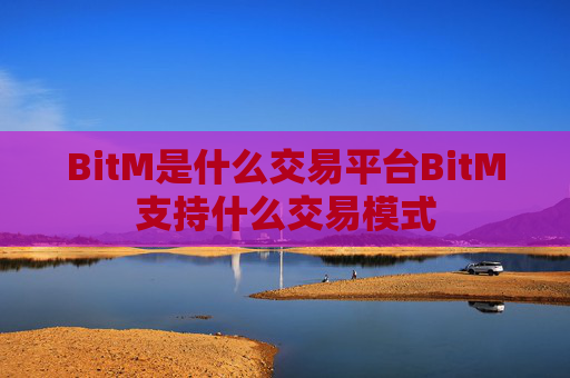 BitM是什么交易平台BitM支持什么交易模式