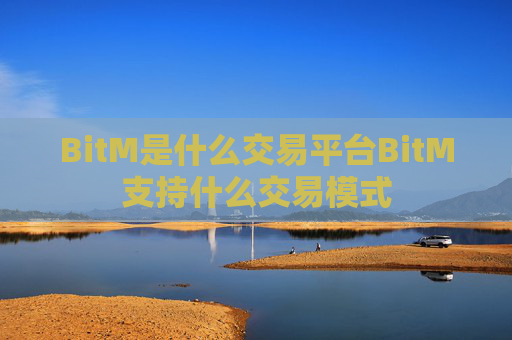 BitM是什么交易平台BitM支持什么交易模式