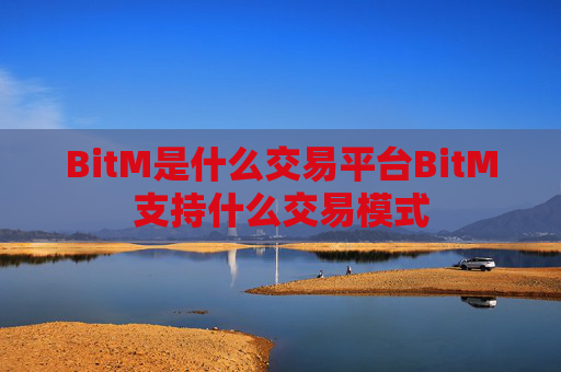 BitM是什么交易平台BitM支持什么交易模式