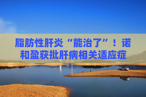 脂肪性肝炎“能治了”!诺和盈获批肝病相关适应症
