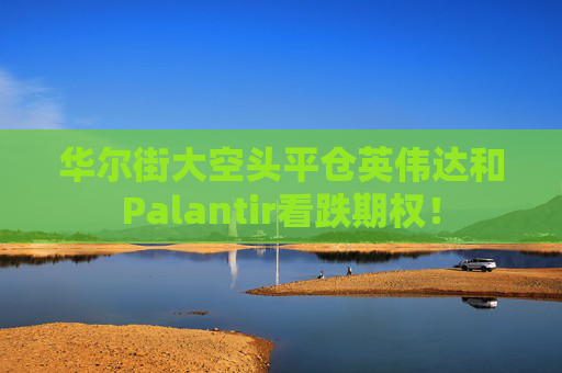 华尔街大空头平仓英伟达和Palantir看跌期权!