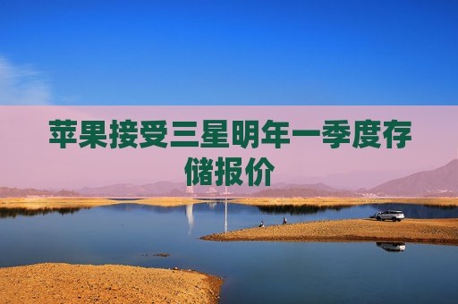 苹果接受三星明年一季度存储报价