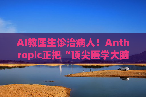 AI教医生诊治病人！Anthropic正把“顶尖医学大脑”送往贫困地区