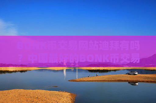 BONK币交易网站迪拜有吗?中国最好的BONK币交易软件
