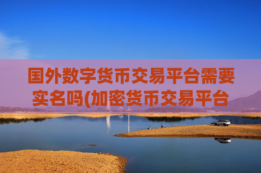 国外数字货币交易平台需要实名吗(加密货币交易平台强势登场)