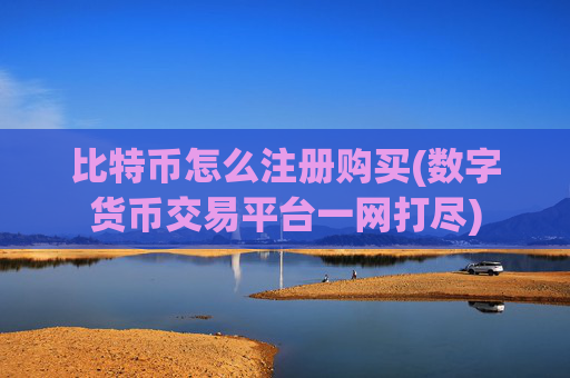 比特币怎么注册购买(数字货币交易平台一网打尽)