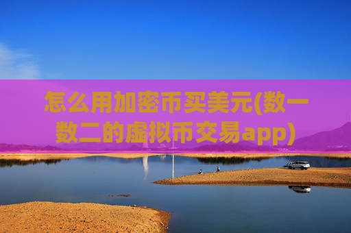 怎么用加密币买美元(数一数二的虚拟币交易app)
