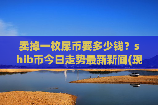 卖掉一枚屎币要多少钱？shib币今日走势最新新闻(现价0.00021955元)