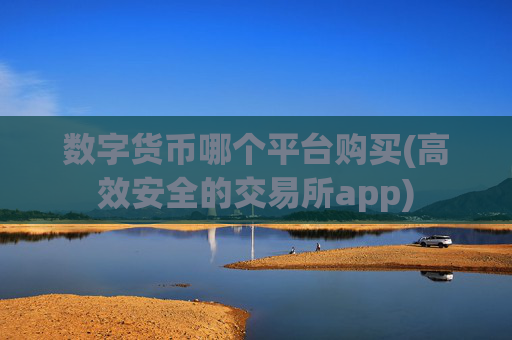数字货币哪个平台购买(高效安全的交易所app)
