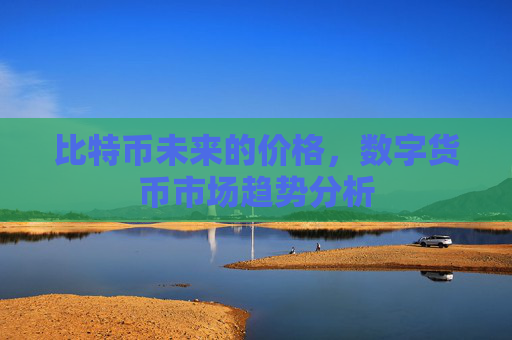 比特币未来的价格,数字货币市场趋势分析