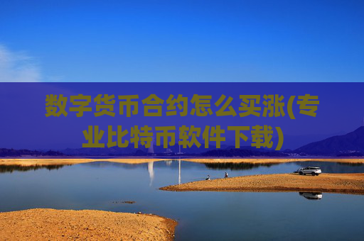 数字货币合约怎么买涨(专业比特币软件下载)
